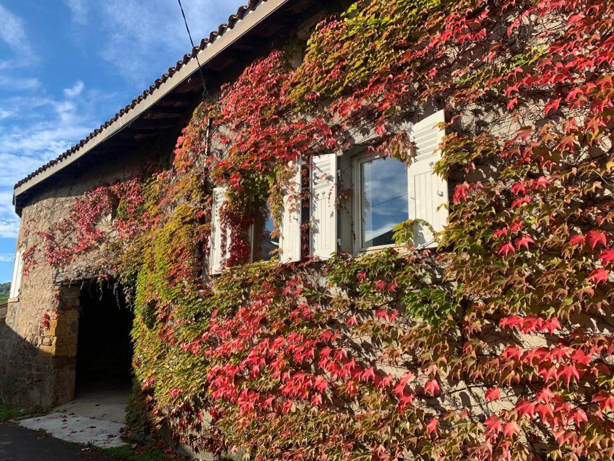 Le Gite De Buffetieres Saint-Romain-de-Popey Dış mekan fotoğraf