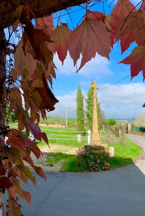Le Gite De Buffetieres Saint-Romain-de-Popey Dış mekan fotoğraf